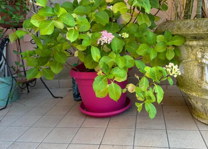 Ca'ilaria Appartement Cavallino-Treporti